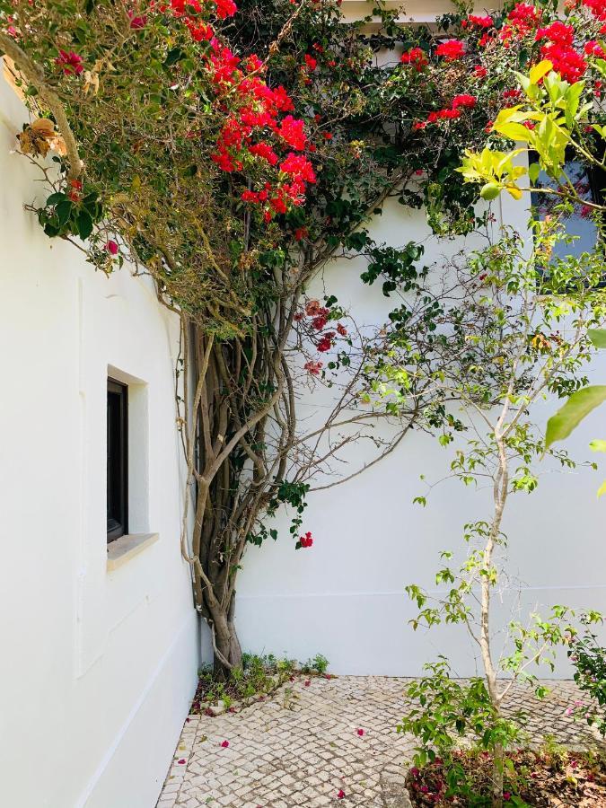 Villa Dona Maria 66 Luz Exterior foto